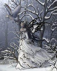 仙人掌的作文 三年级 植物